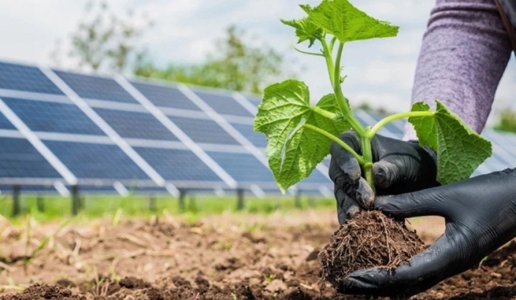 Agronegócio brasileiro caminhando para um futuro mais sustentável