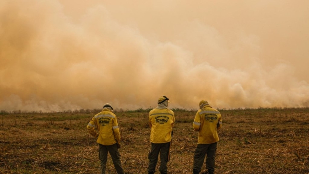 Joédson Alves/Agência Brasil Brigadistas do ICMBIO observam cortina de fumaça por conta do incêndio florestal que atinge o Pantanal