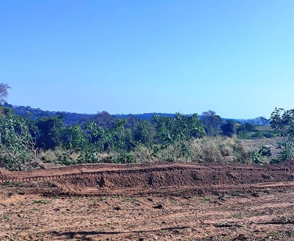 Vistoria ambiental multa fazenda por desmatamento em Marília