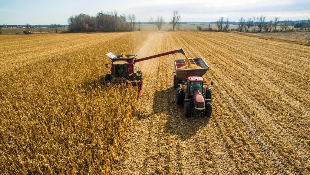 Acelerada, colheita da safrinha de milho avança no Brasil e atinge 10,4% da área