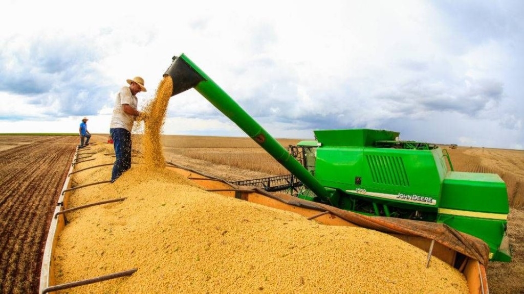 IBGE diz que safra brasileira de grãos deve totalizar 295,9 milhões: queda de 6,2%