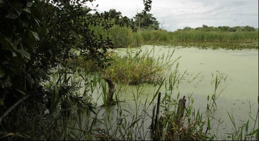 Prevenção de queimadas fecha estações ecológicas em Marilia, Assis e mais cidades