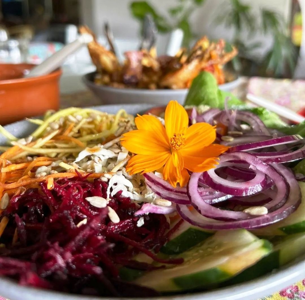 Concurso de Gastronomia Panc terá 5ª edição em estância de Vera Cruz