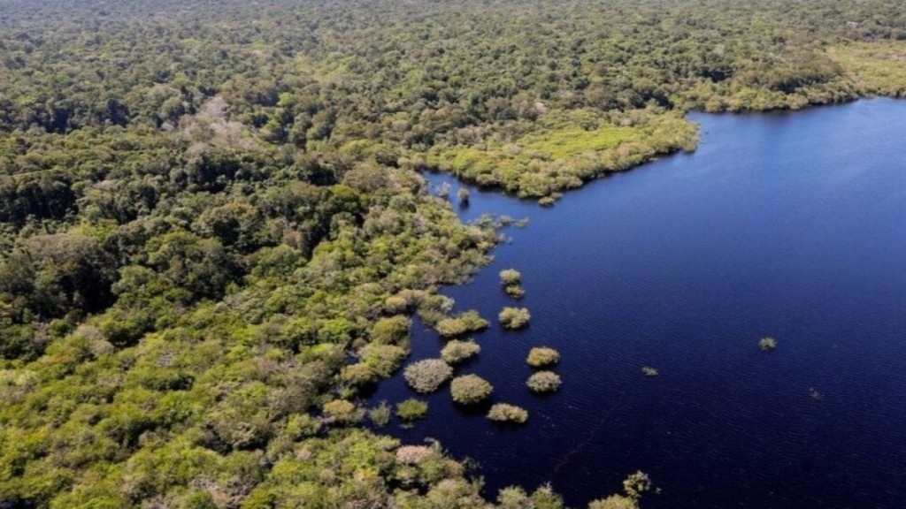 Agência Brasil União Europeia fará doação de R$ 120 milhões ao Fundo Amazônia