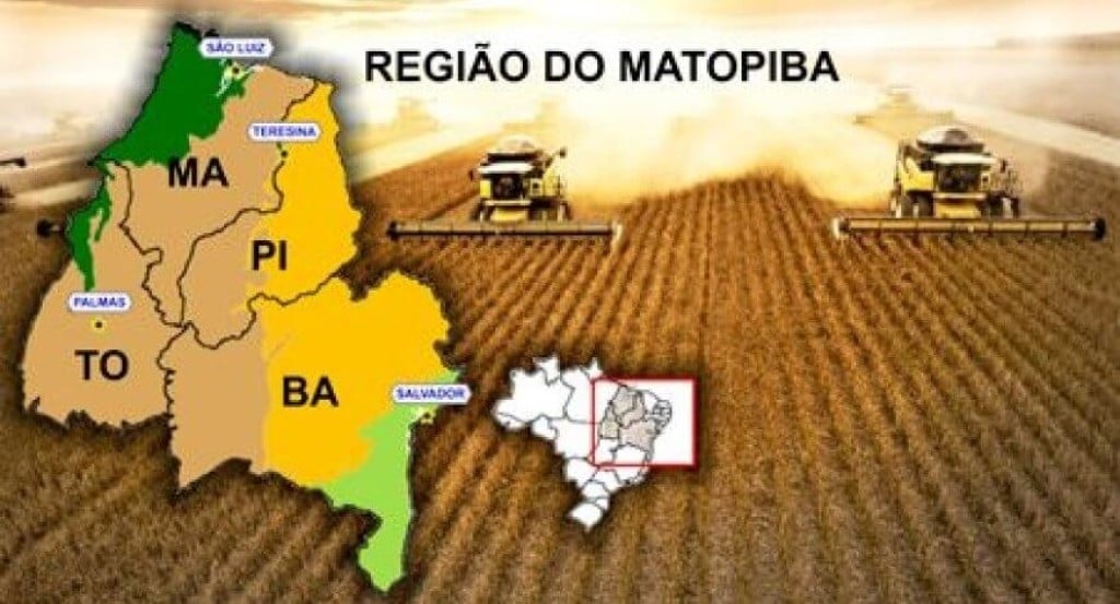 Matopiba: o novo celeiro do agronegócio brasileiro