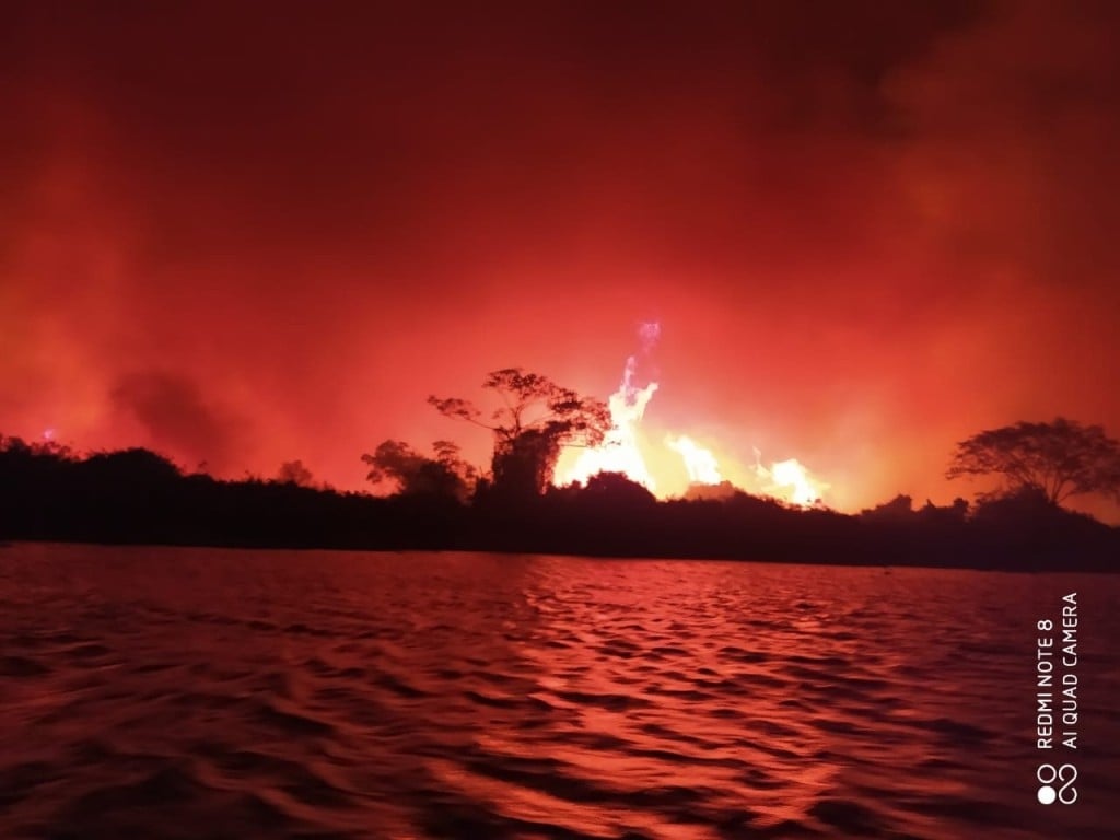 Mato Grosso autoriza pecuária em áreas de proteção para prevenir incêndios