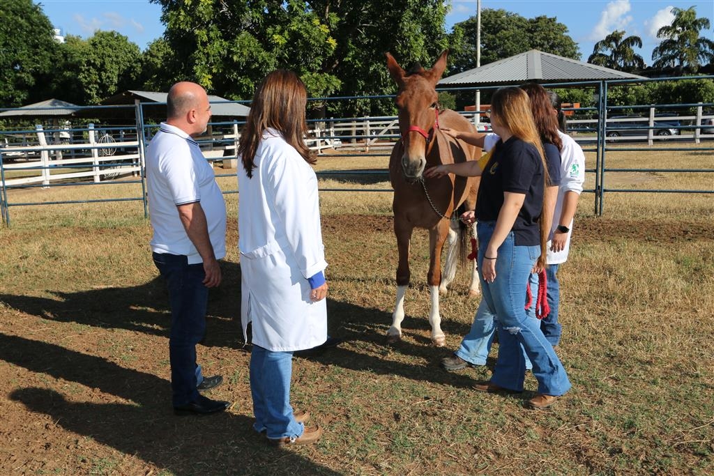 Estudantes de Veterinária da Unimar levam pesquisas a Conferência Nacional