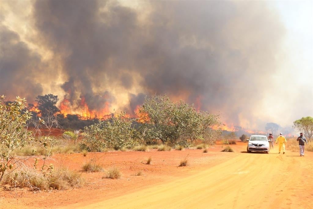 Incêndios já provocaram R$ 25 milhões em multas no Estado de SP