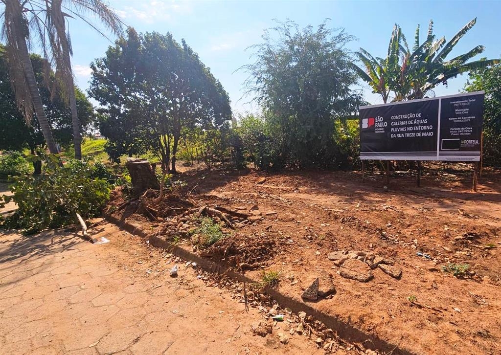 Corte de árvores vira nova polêmica em obra tabu de Vera Cruz