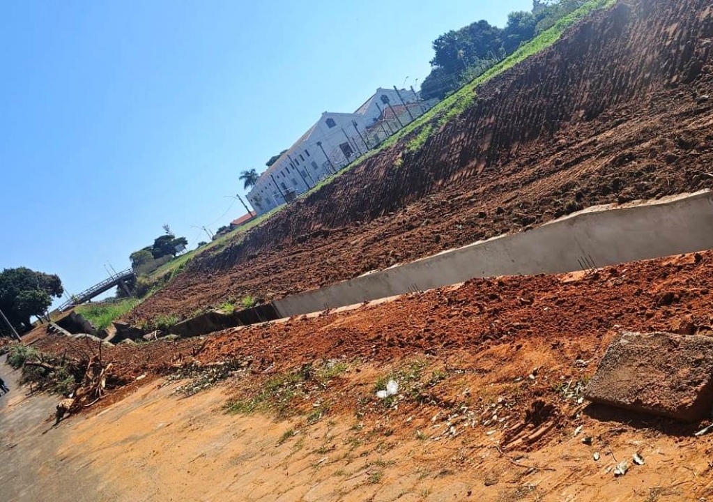 Justiça nega suspender obra com corte de árvores em Vera Cruz; caso é tabu