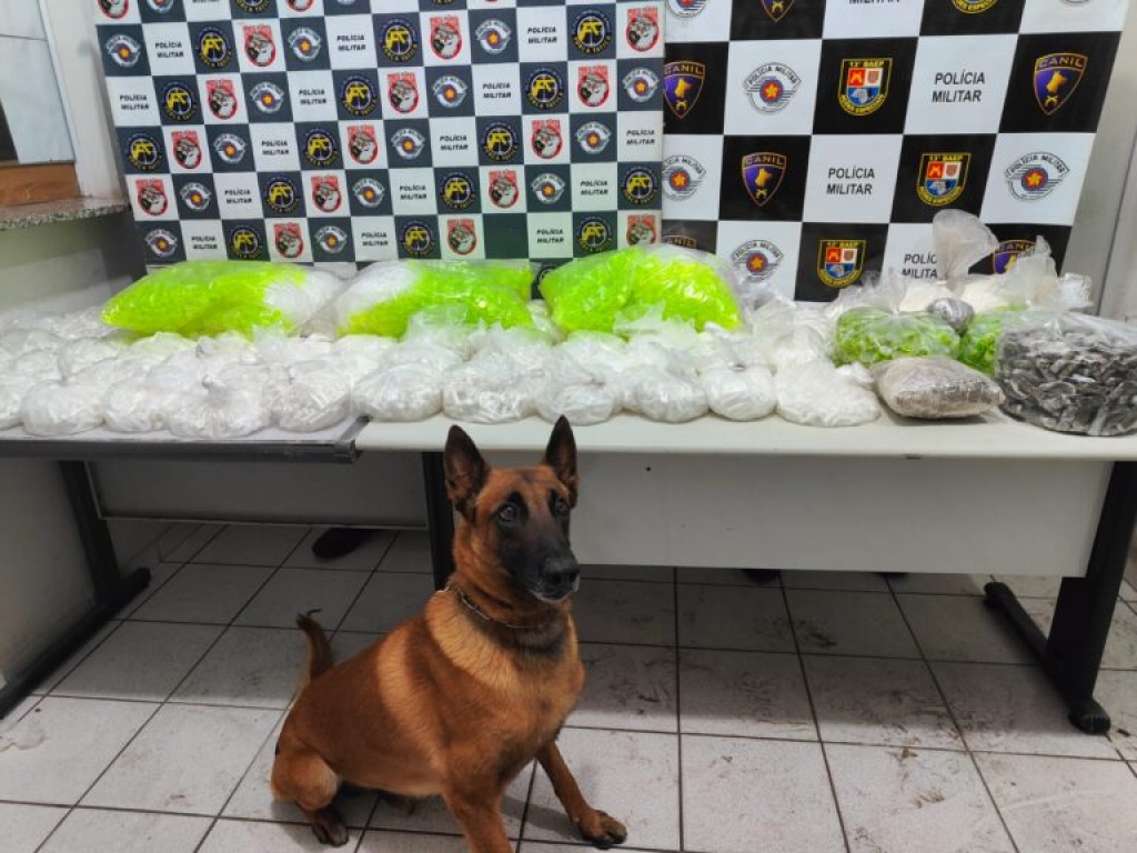 Denúncia anônima revela depósito com 35kg de drogas na Vila Barros