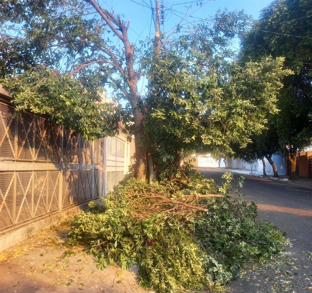 Morador critica poda drástica e sujeira deixada em rua na zona oeste