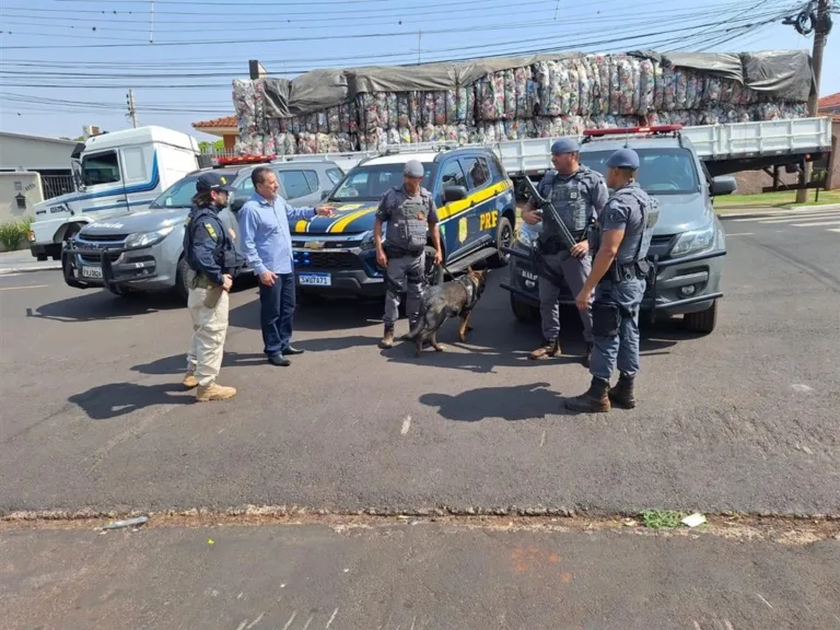 Maconha estava escondida em carga de reciclados – divulgação/Baep