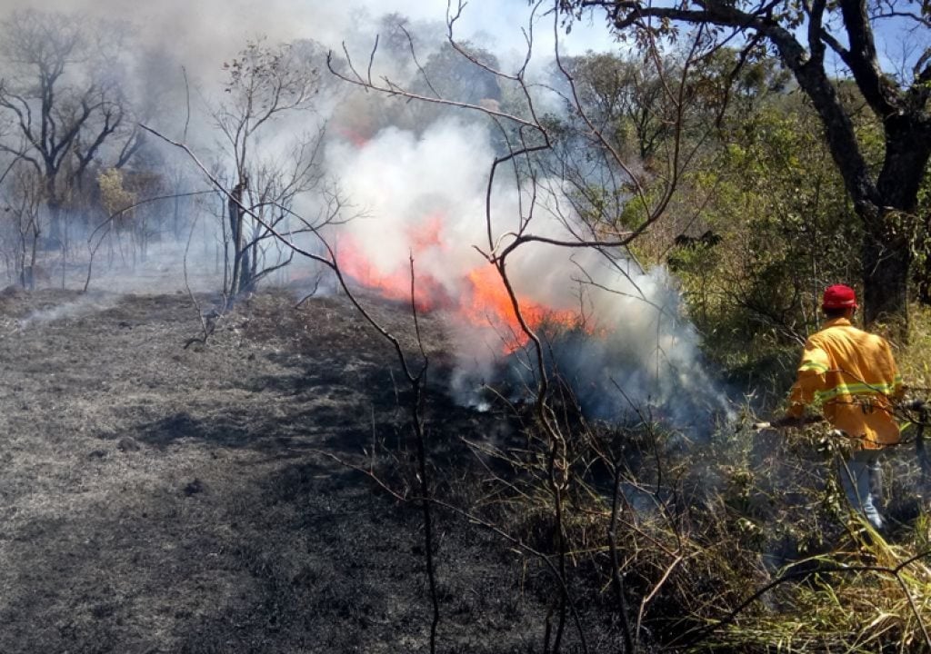 Estado faz alerta sobre risco de incêndios em matas e inclui Marília