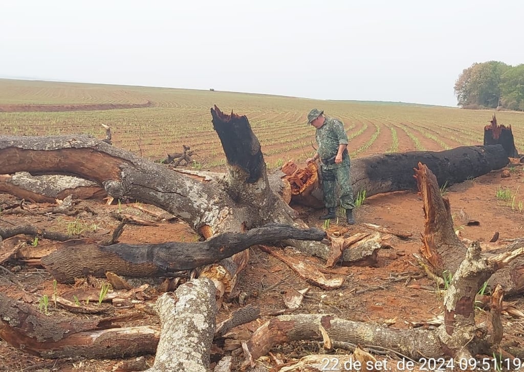 Usina leva multa de R$ 1,7 milhão por fogo em oito propriedades de Tupã