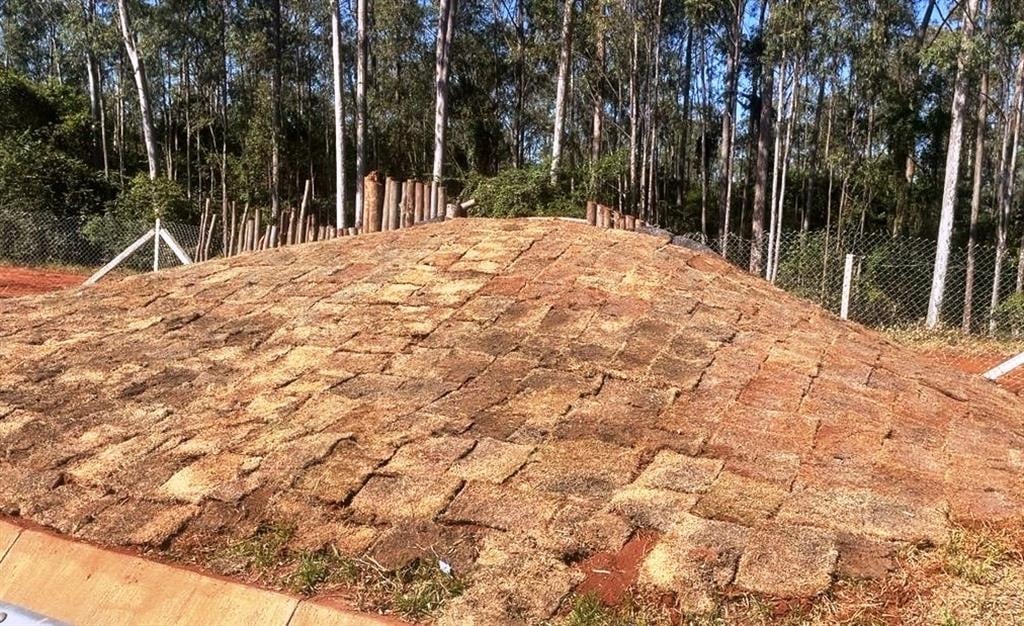 Rodovia SP-333 ganha rampa para ajudar animais a escapar da pista e riscos