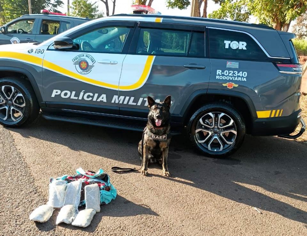 Jovem com 17 anos é flagrado com drogas nas pernas e bagagem em ônibus